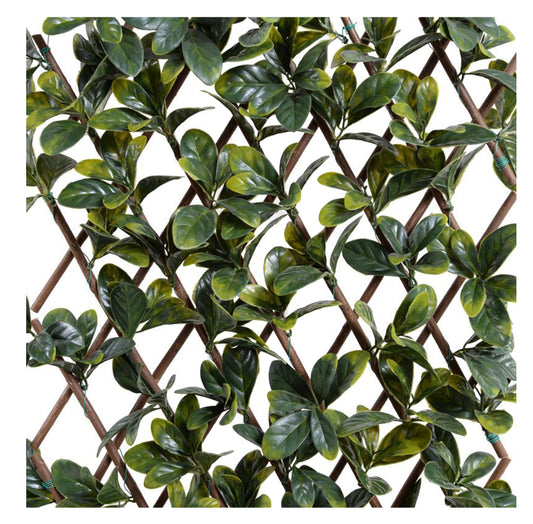 Extendable trellis with laurel leaves, 1 x 2 m