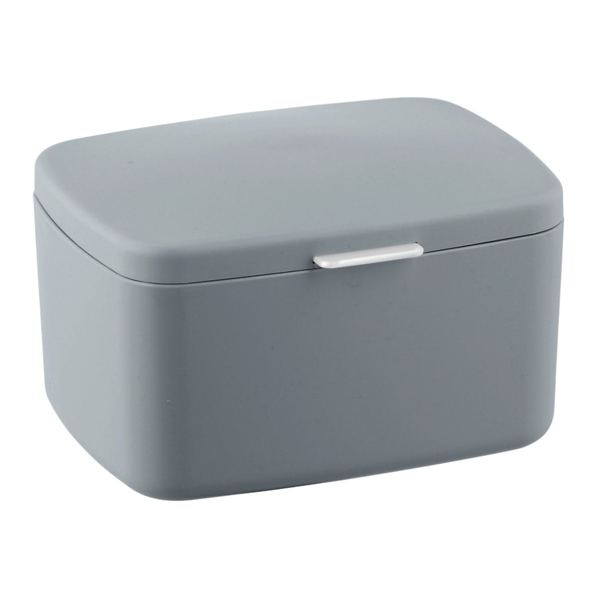 Bricocenter CONTAINER WITH LID BARCELONA, GREY