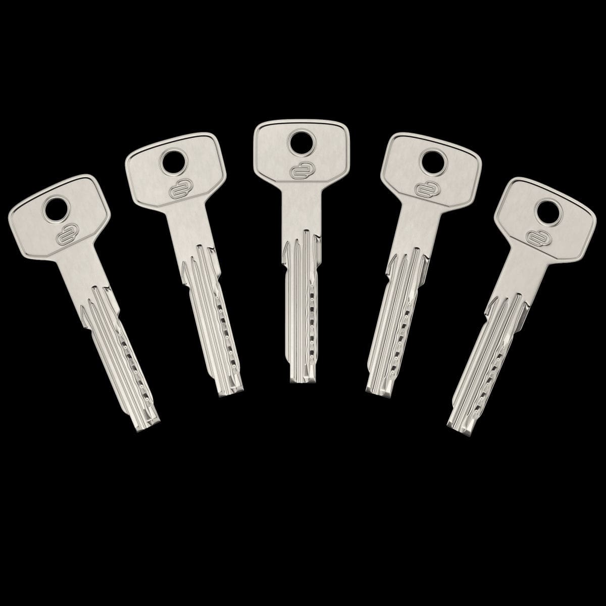 40+40 MM STANDERS BRASS CYLINDER, SATIN NICKEL FINISH, 5 LONG STEEL KEYS