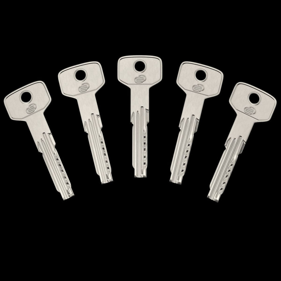 Bricocenter 40+50 MM STANDERS BRASS CYLINDER, SATIN NICKEL FINISH, 5 LONG STEEL KEYS