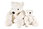 Casa POLA POLAR BEAR TEDDY 30CM