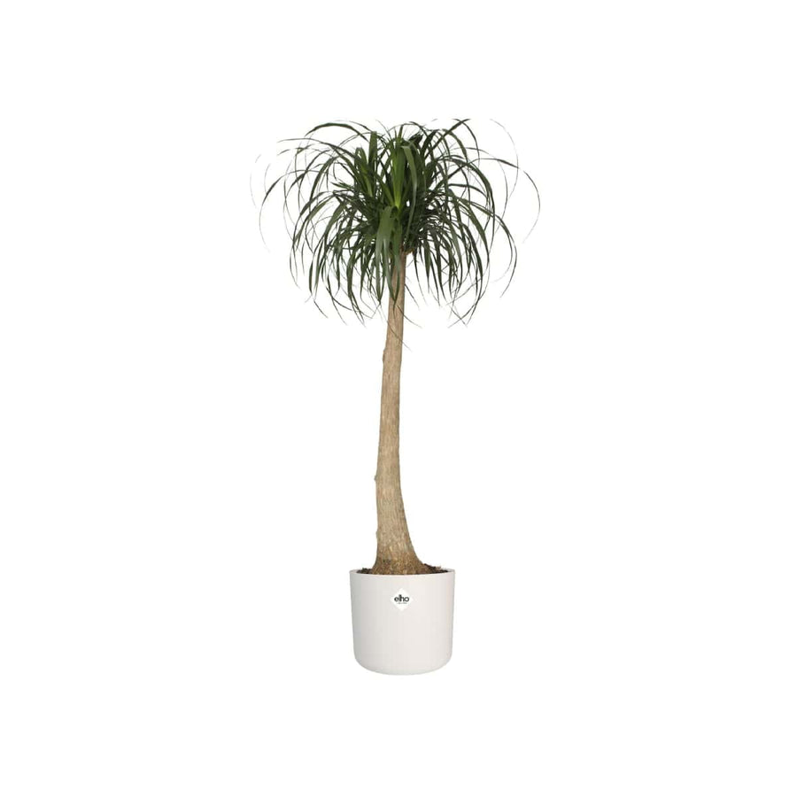 Bricocenter B.for Soft Round ELHO pot cover DIAM 22 H20,4 CM WHITE
