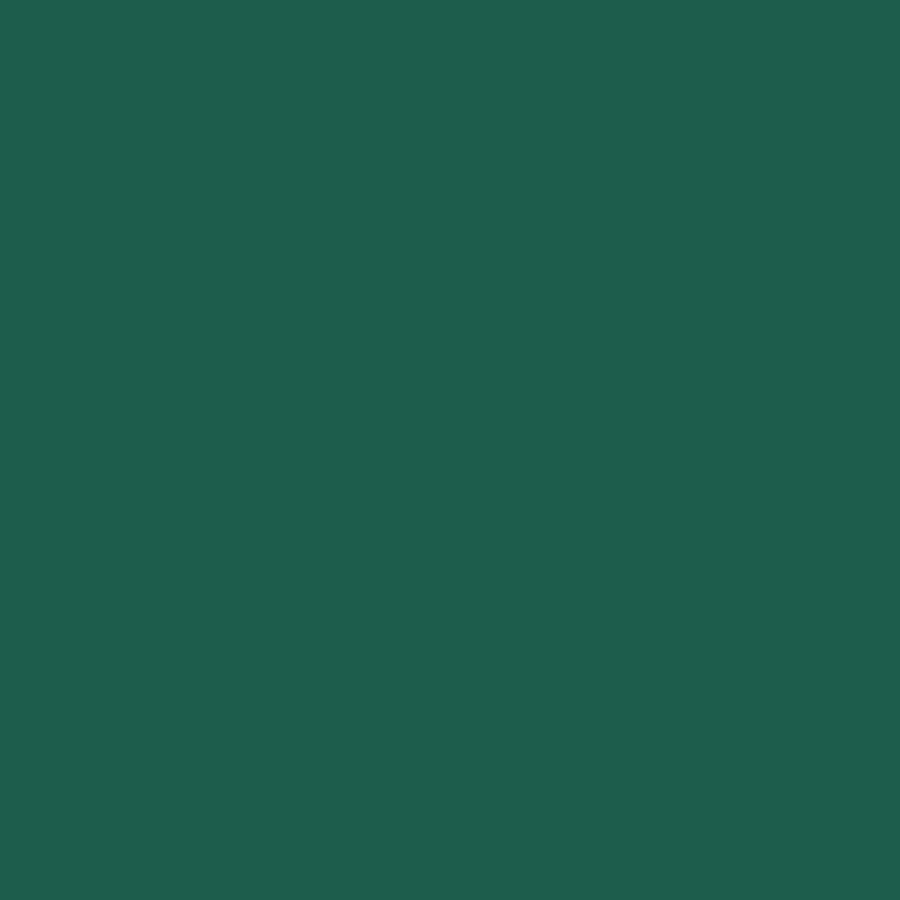 Smalto acqua antiruggine verde muschio satinato r6005 mm 750ml