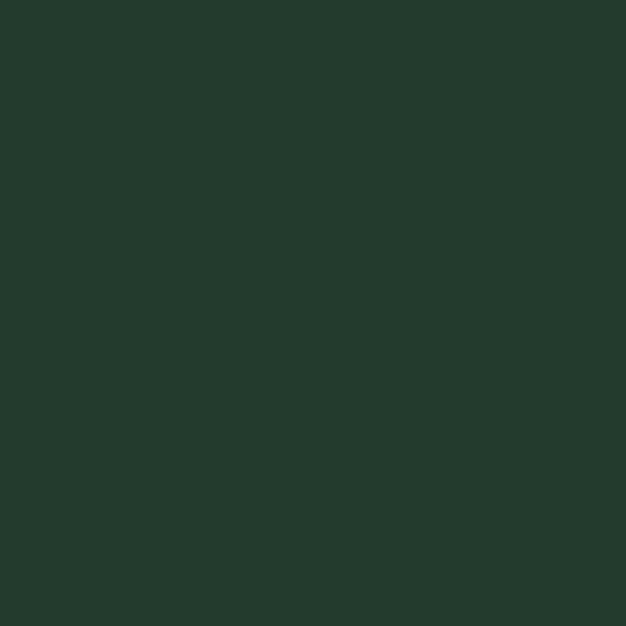 Smalto acqua antiruggine verde abete brillante r6009 mm 750ml