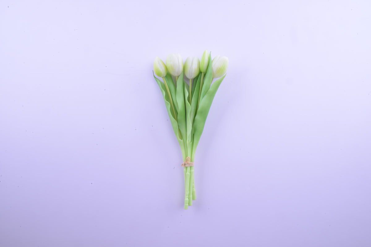 Bouquet of 5 white tulips, height 31cm