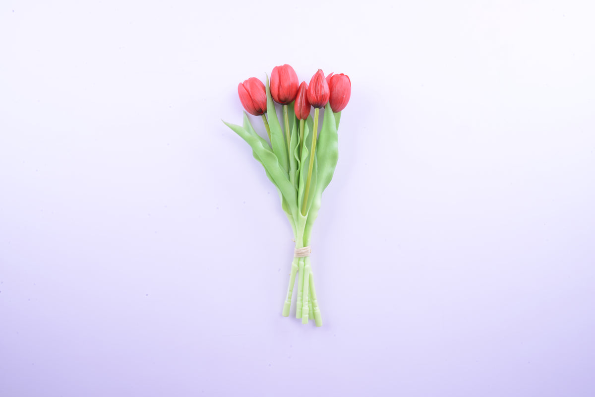Bouquet of 5 red tulips, h 31 cm