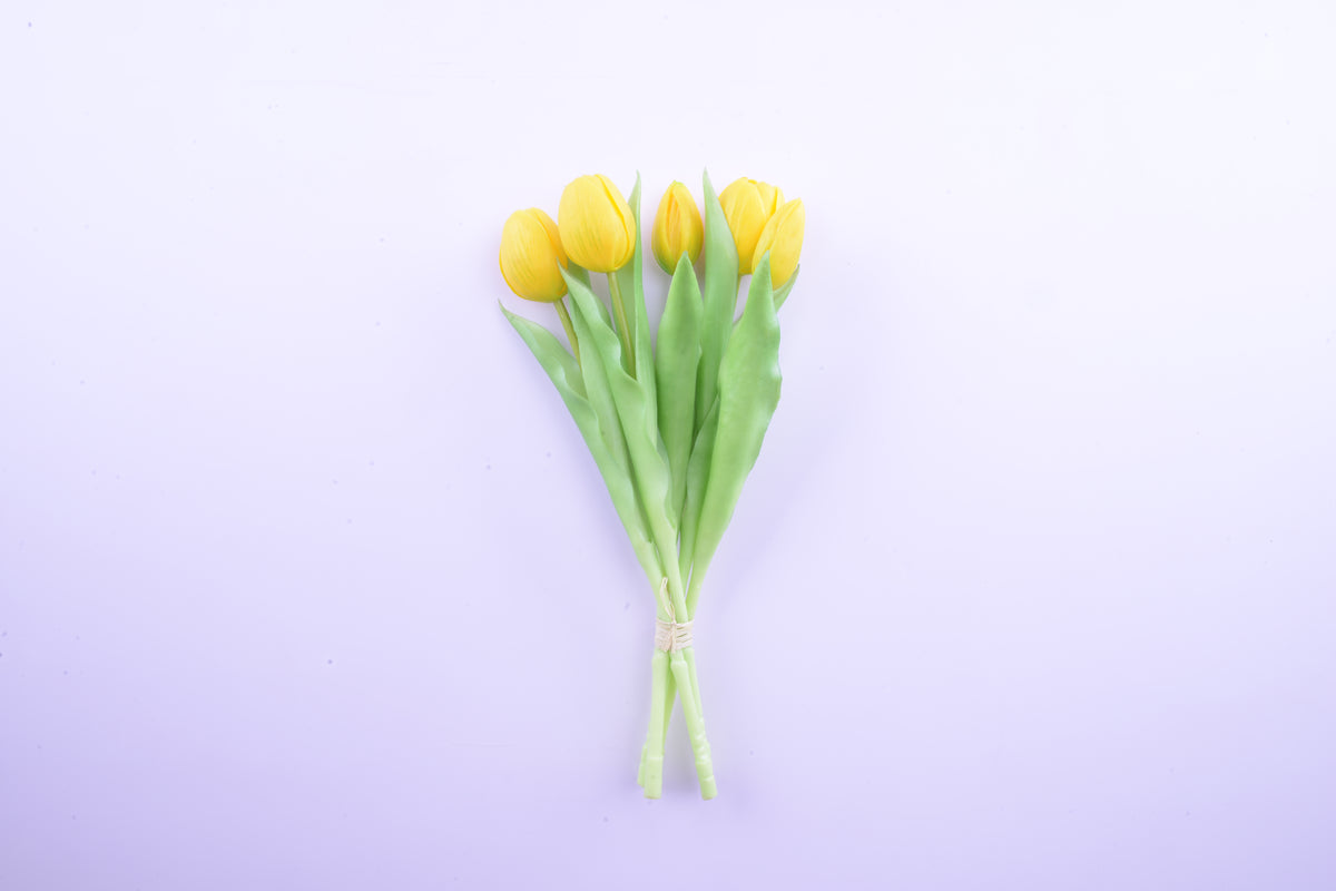 Bouquet of 5 yellow tulips, height 31 cm