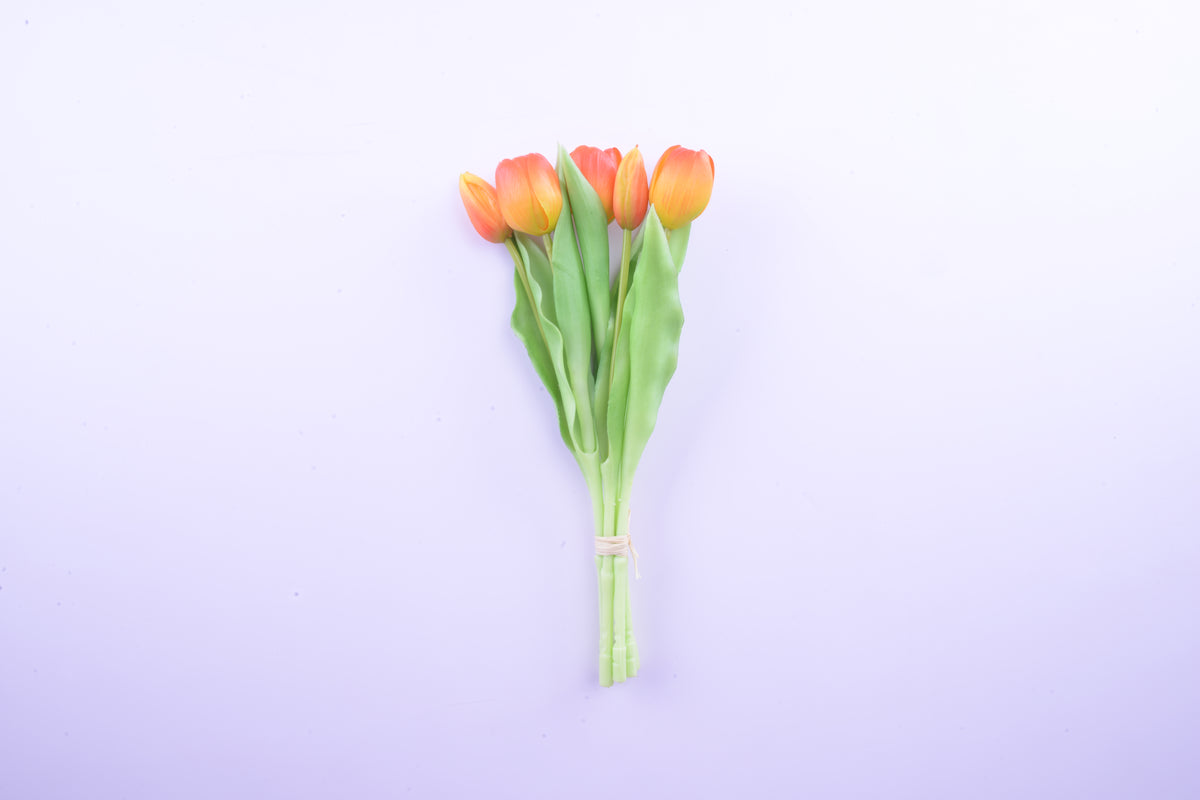 Bouquet of 5 orange tulips, height 31 cm