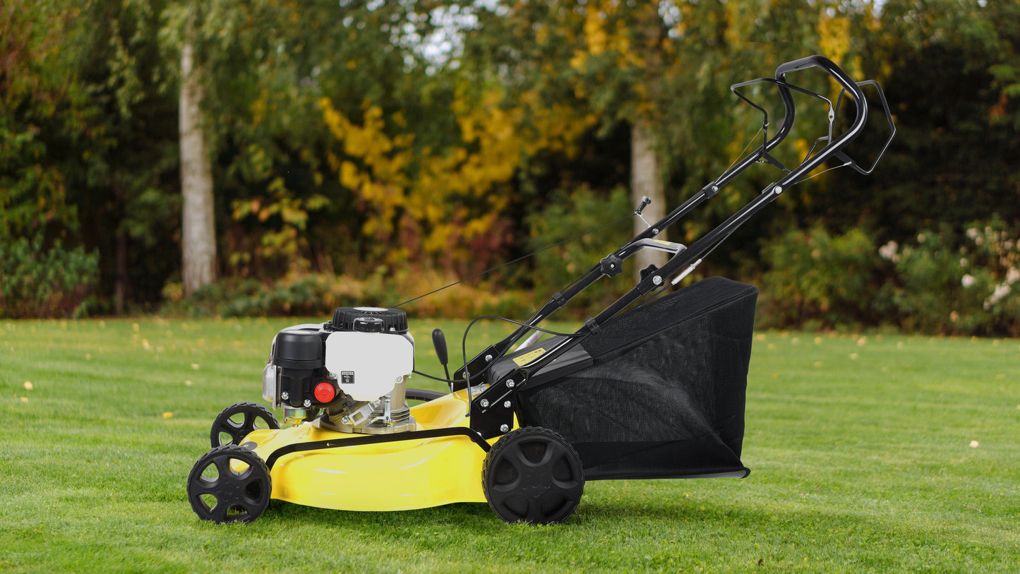 Bricocenter DYM1854P PETROL MOWER