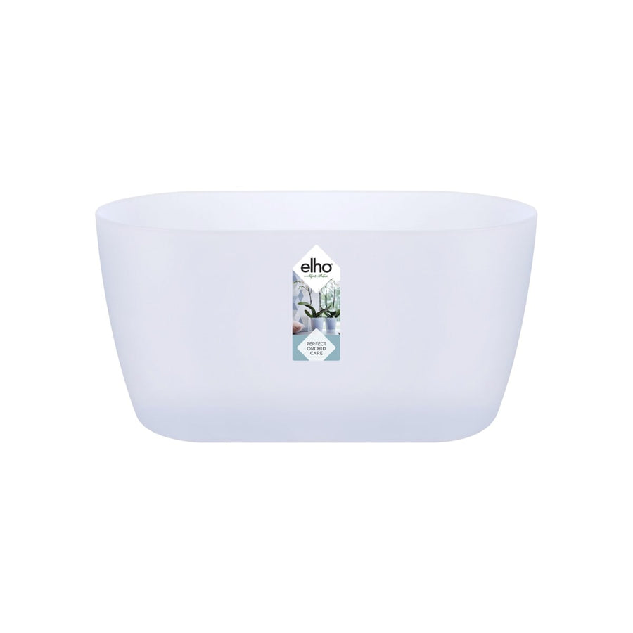 Bricocenter BRUSSELS ORCHID DUO COVER 25CM TRANSPARENT