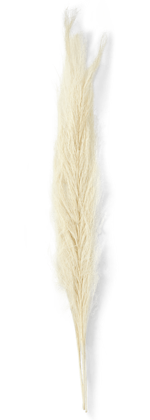 SIKHA PALM LEAF S/4 WHIT