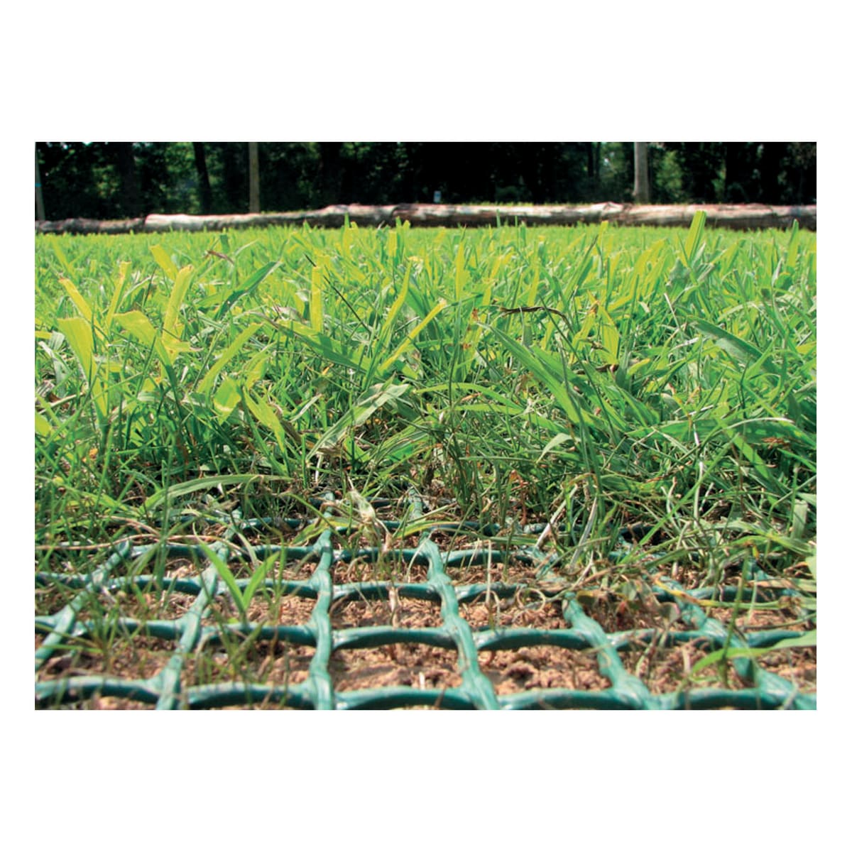 Bricocenter TR GREEN PLASTIC PROTECTION NET 1X5 M