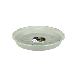BASICS GREEN SAUCER 22CM