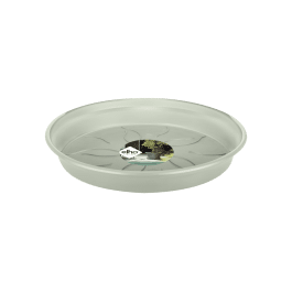 BASICS GREEN SAUCER 25CM