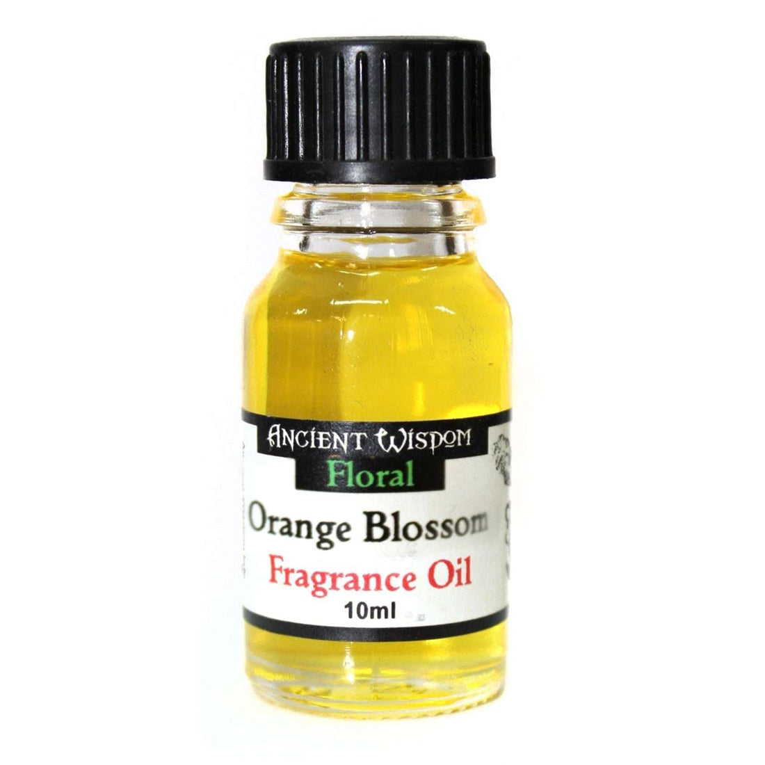 10ml Orange Blossom Fragrance Oil - best price from Maltashopper.com AWFO-44