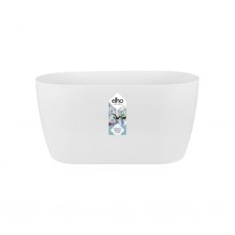 BRUSSELS ORCHID PLANTER COVER 12.5CM WHITE
