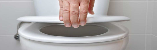 WC SEAT EASY WHITE D-SHAPE TOP FIX