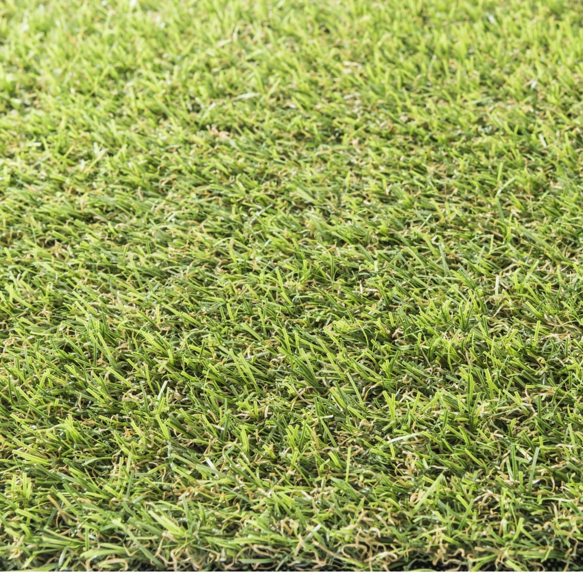 Bricocenter ZANTE PRE-CUT SYNTHETIC GRASS 1X5 M WITH 20 MM THICKNESS