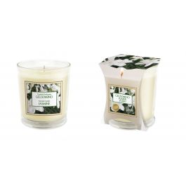 JASMINE ROOM SCENTED CANDLE IN BI