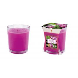 ROOM SCENTED CANDLE WELL-BEING IN BI