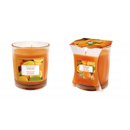 CITRUS ROOM SCENTED CANDLE IN BICCH