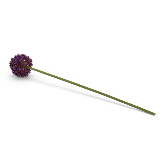 Casa ALLIUM DECO ONION 51CM PURPLE