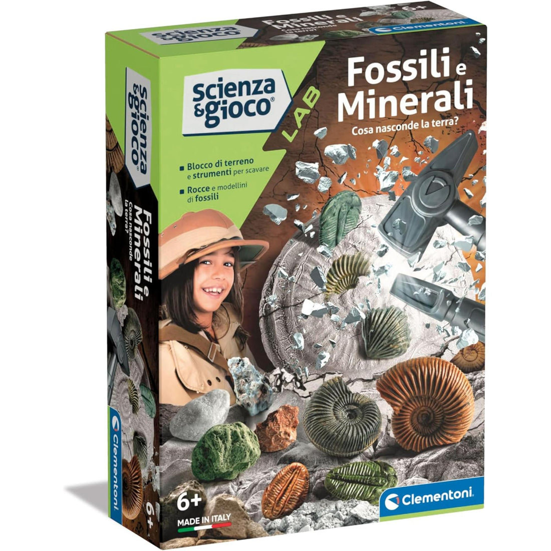 Fossils and Minerals