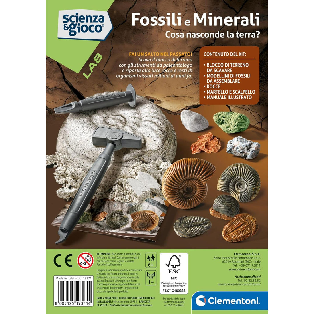 Fossils and Minerals