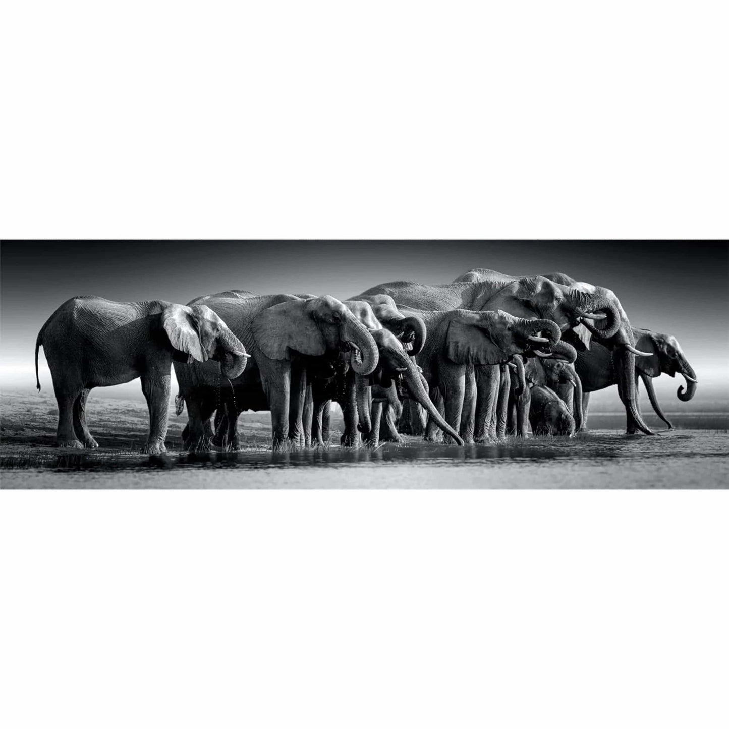 Toys 1000 pezzi Panorama - Herd of Giants