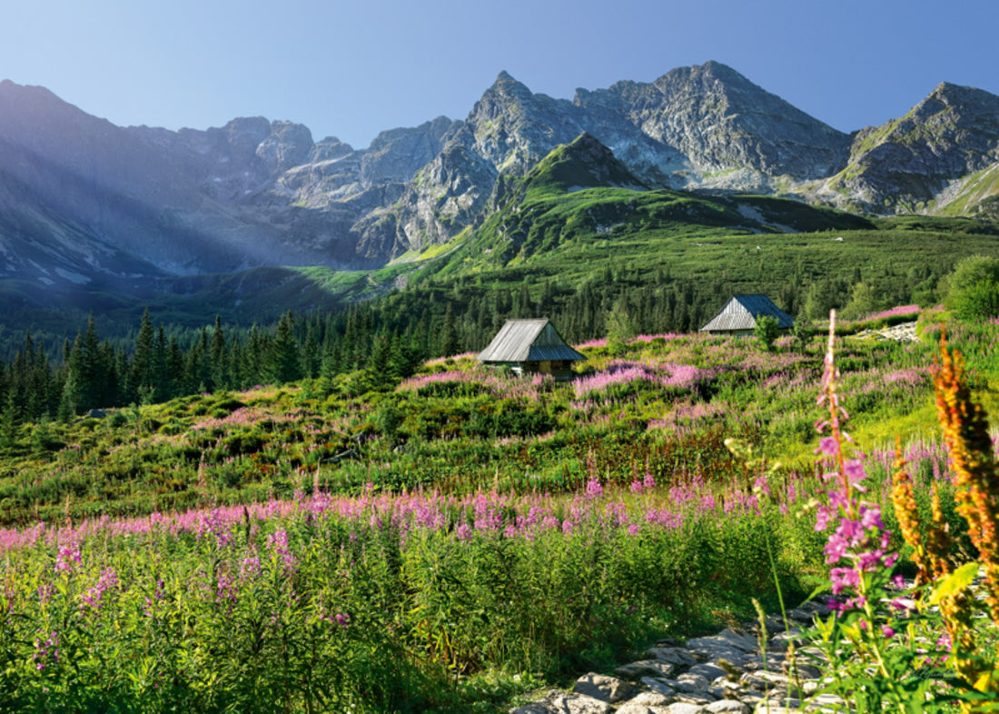 Puzzle 1000 pieces - G?sienicowa hall in Tatras