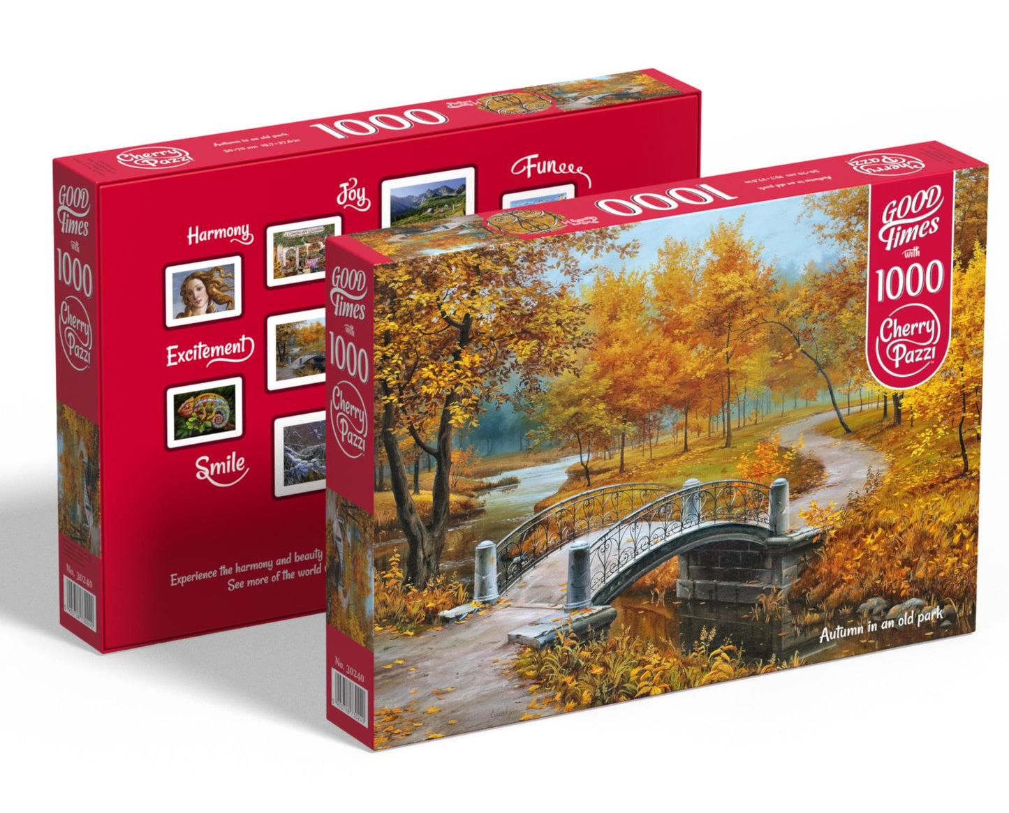 Toys Puzzle 1000 pezzi - Autumn in an old park