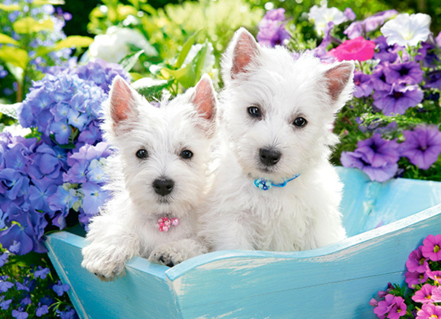 200 Piece Puzzle - Westie Puppies