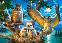 Puzzle 500 Pezzi - Owl Family