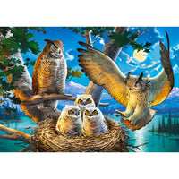 Puzzle 500 Pezzi - Owl Family