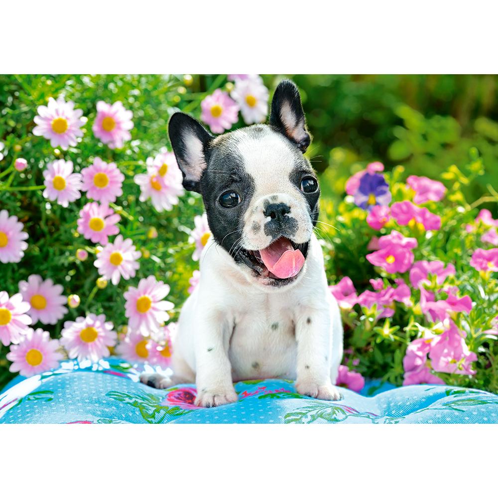 Toys Puzzle 500 Pezzi - French Bulldog Puppy