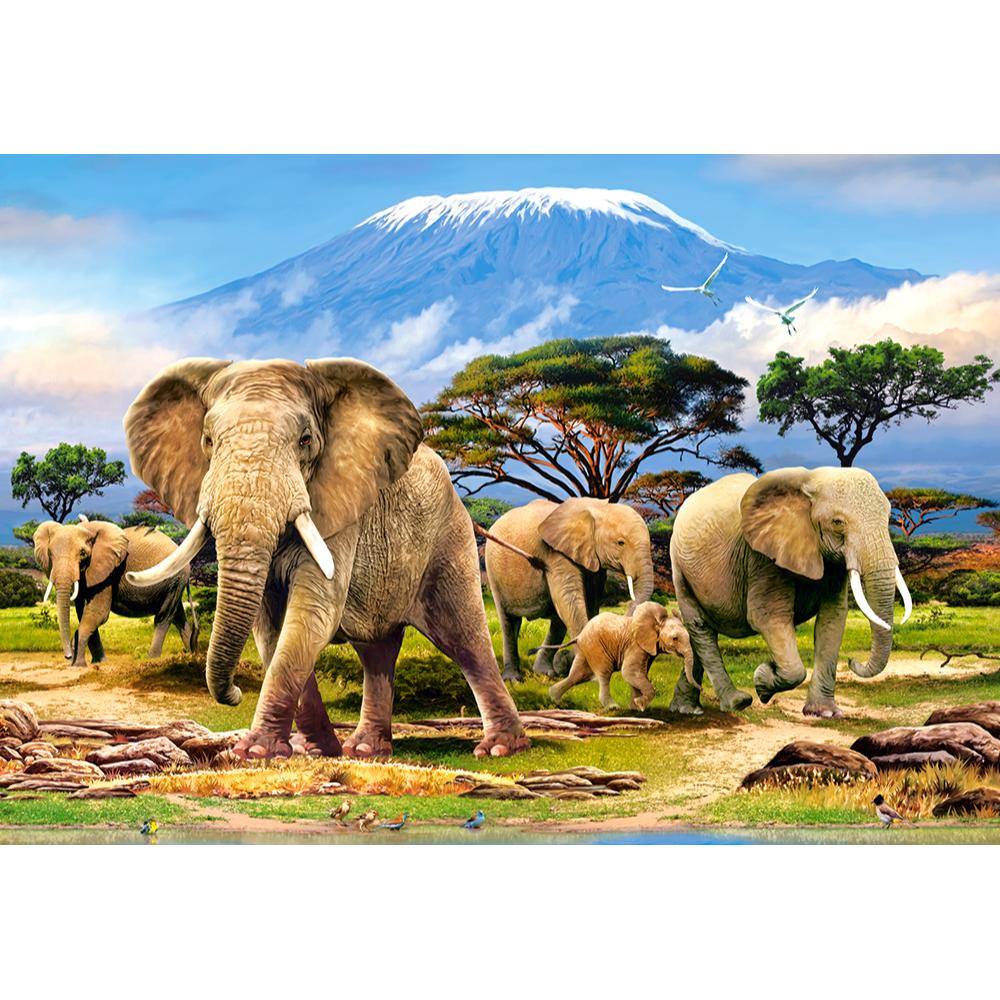 Puzzle 1000 Pezzi - Kilimanjaro Morning