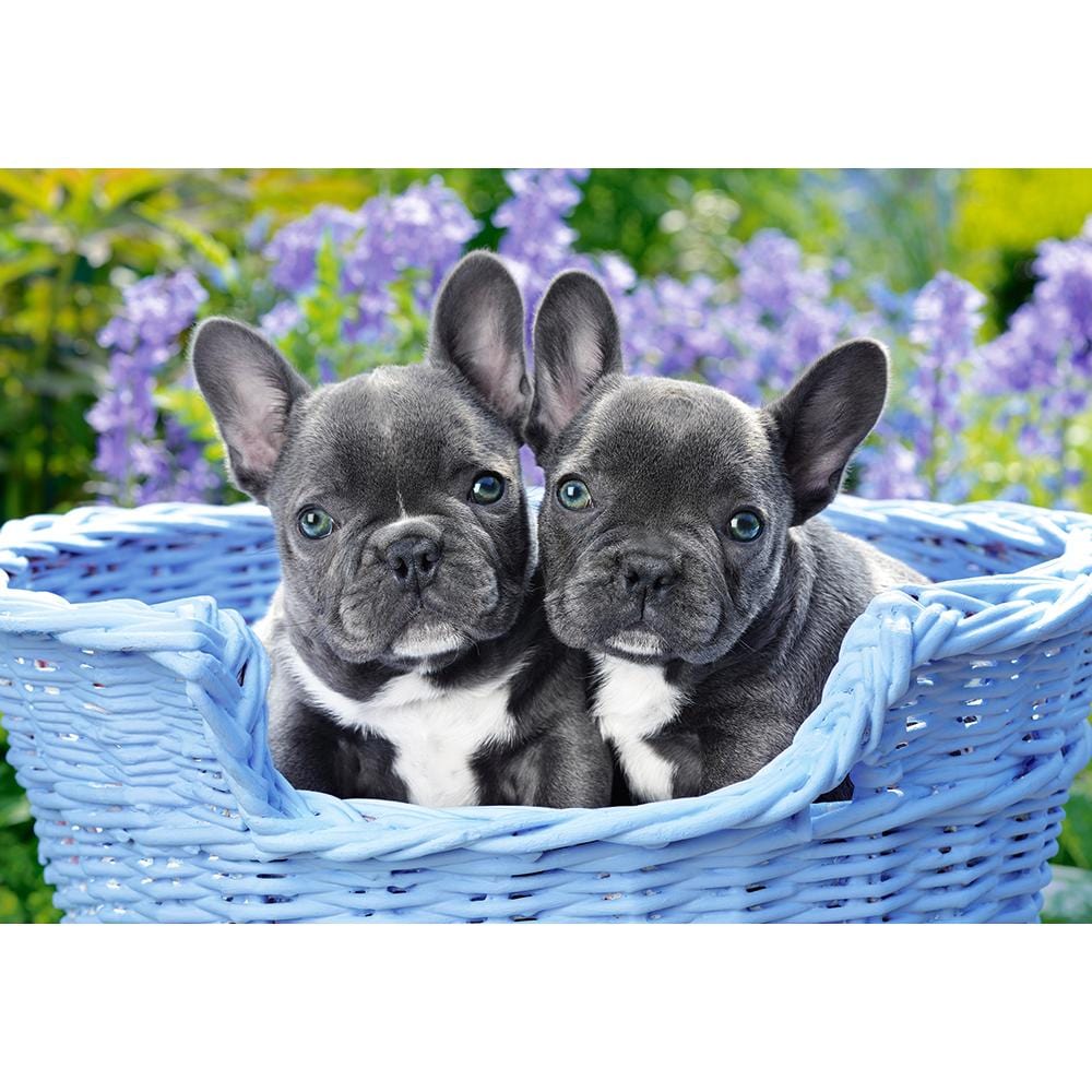 Toys Puzzle 1000 Pezzi - French Bulldog Puppies