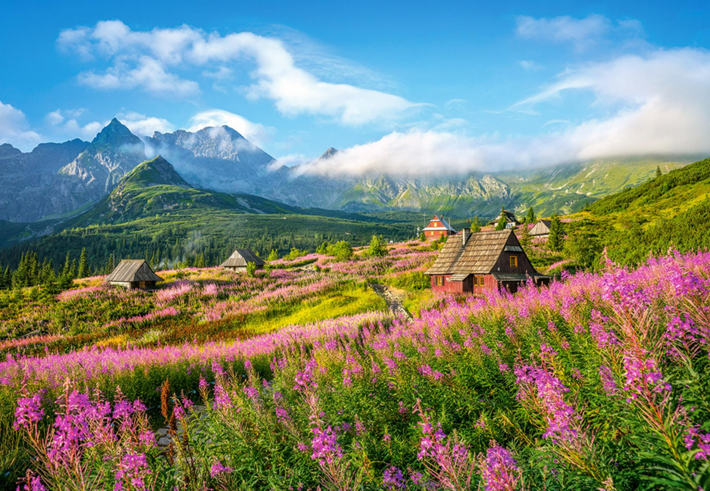 Toys Puzzle 1000 Pezzi - Lake G?sienicowa, Tatras, Poland