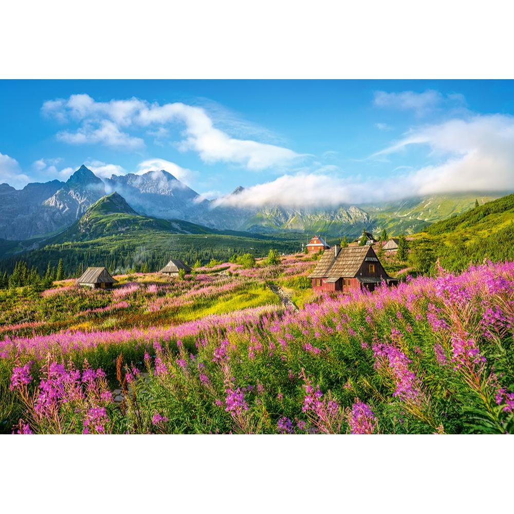 Toys Puzzle 1000 Pezzi - Lake G?sienicowa, Tatras, Poland