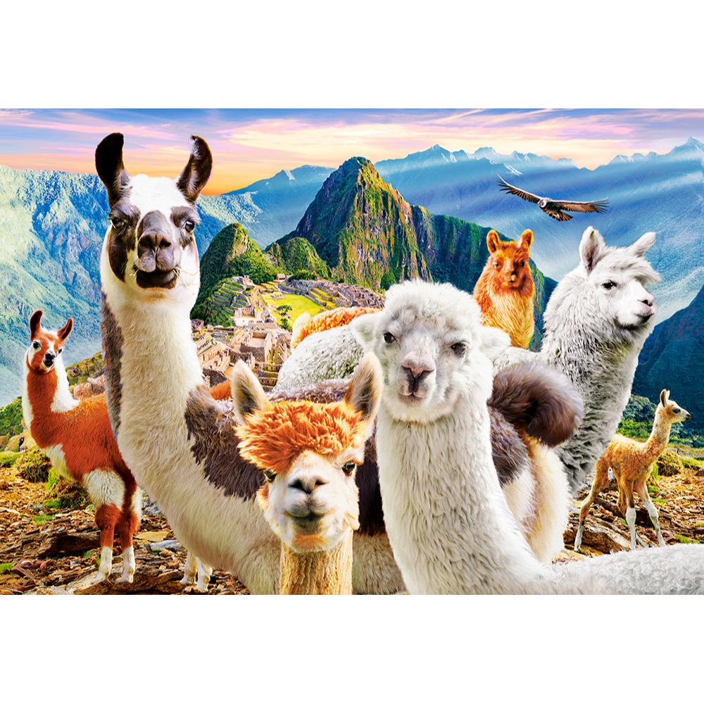 1000 Piece Puzzle - Llamas Selfie