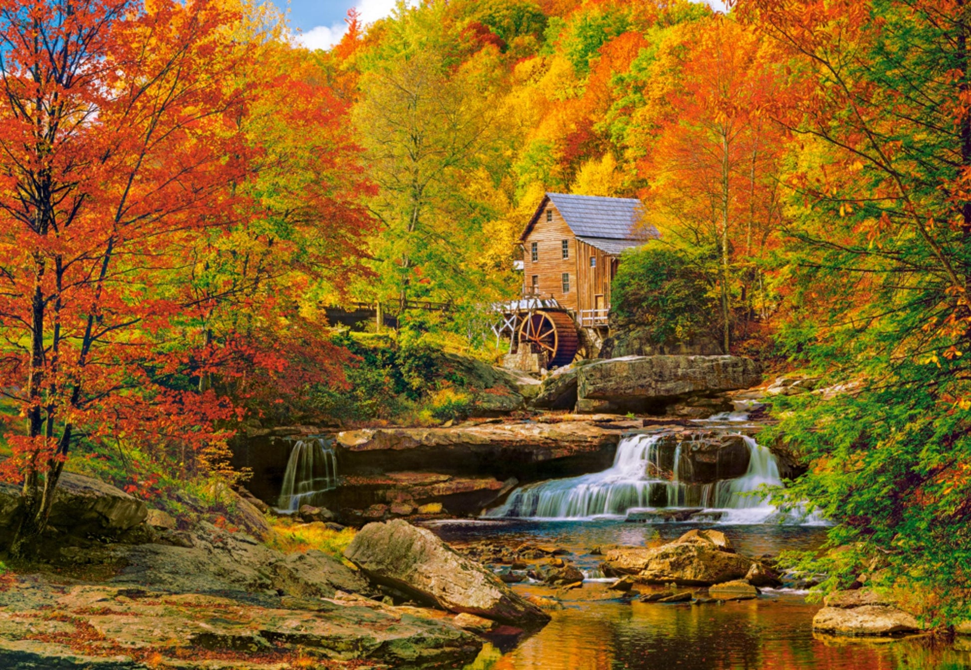 Toys Puzzle 1000 Pezzi - Magical Autumn
