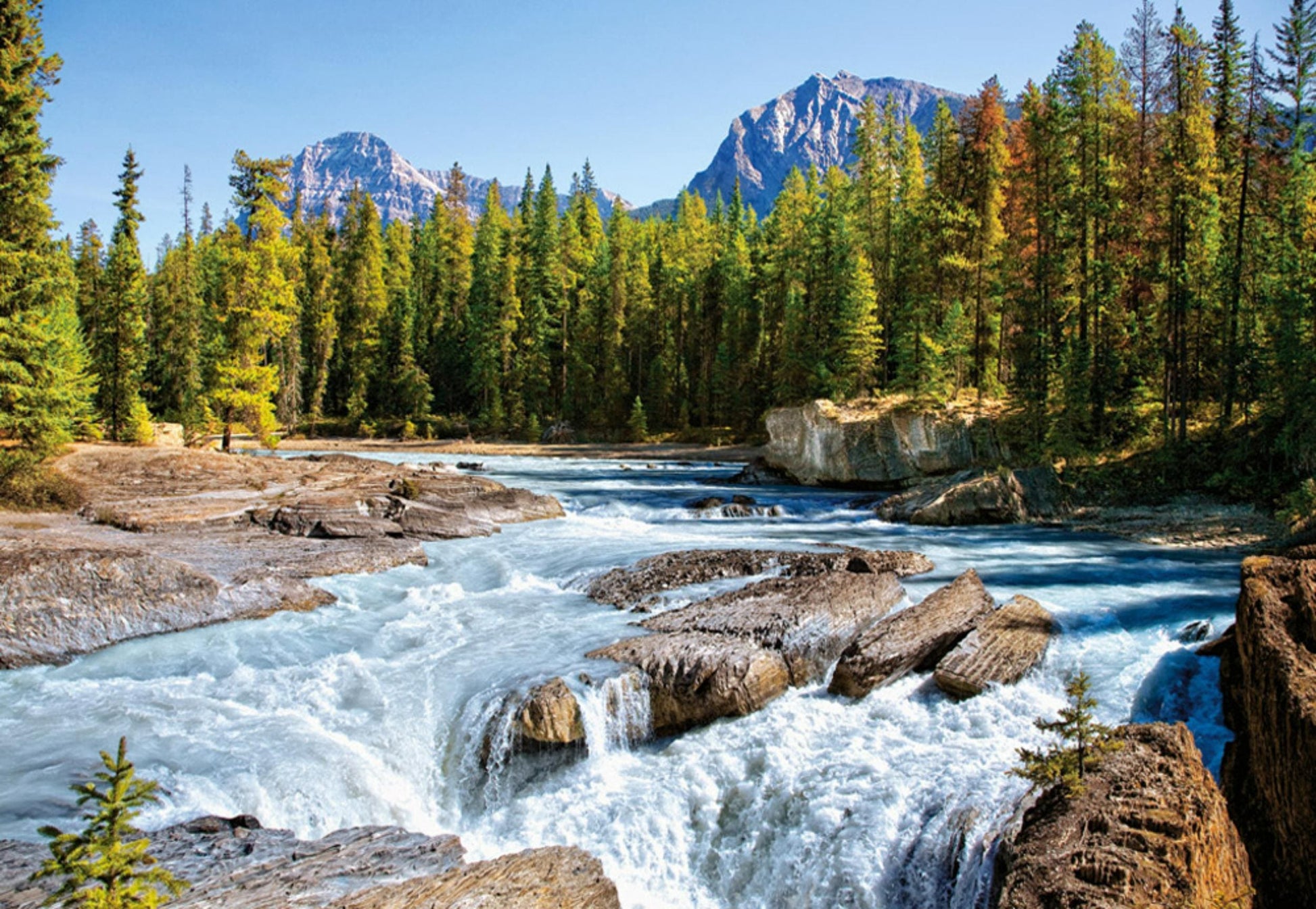 Toys Puzzle 1500 Pezzi - Athabasca River, Jasper National Park, Canada