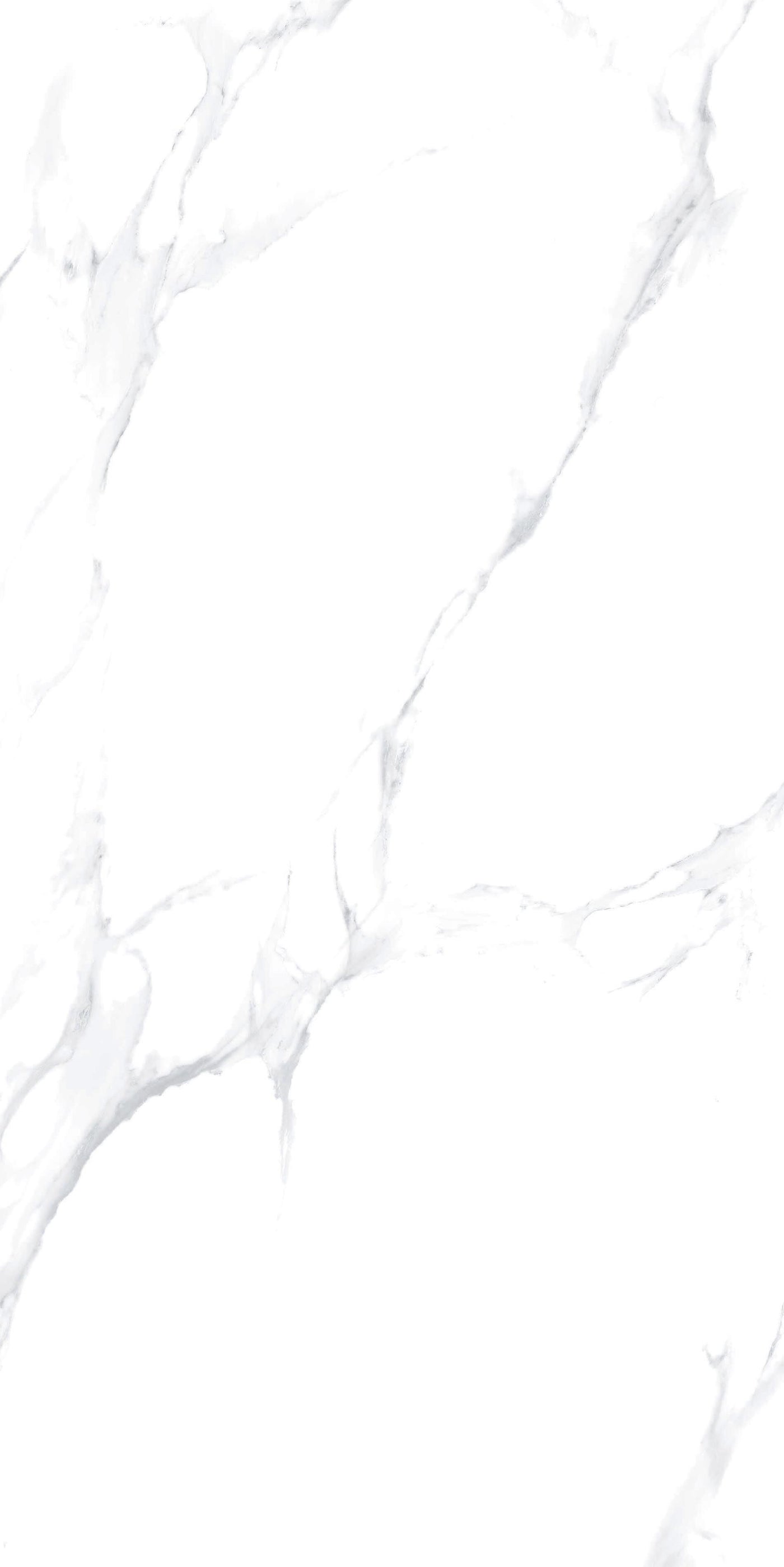 Calacatta Armonia rectified porcelain stoneware tile, 60x120, 1.44 sq m