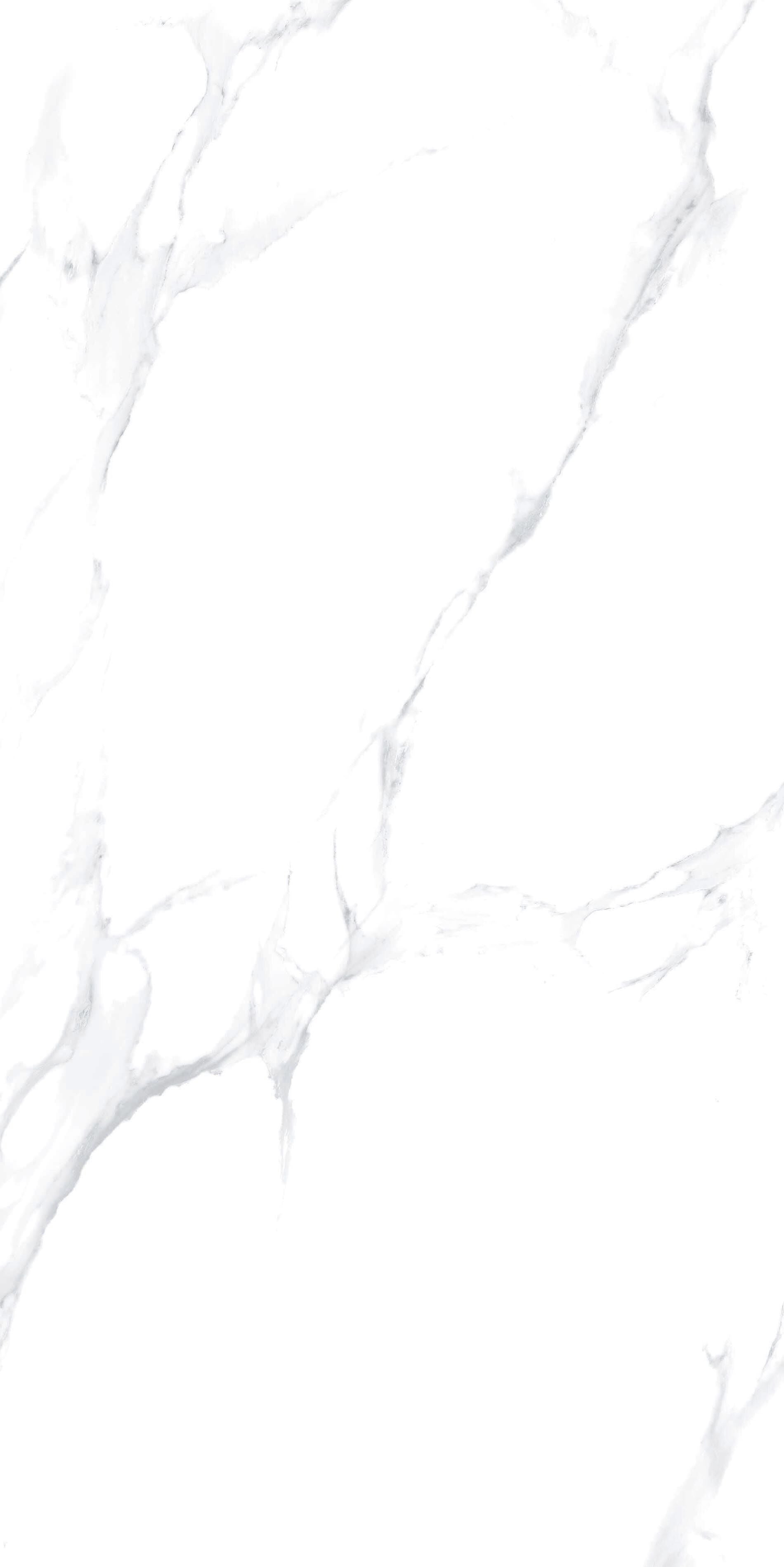 Calacatta Armonia rectified porcelain stoneware tile, 60x120, 1.44 sq m