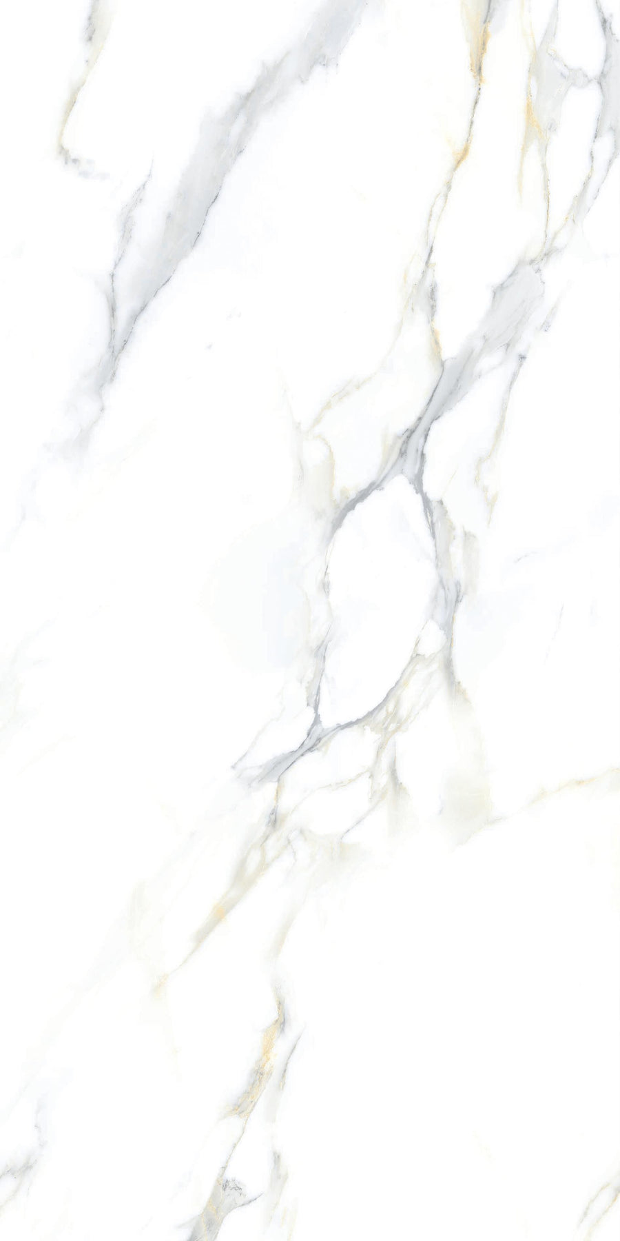 Calacatta Gold Splendore tile, 60x120 cm, 1.44 m²