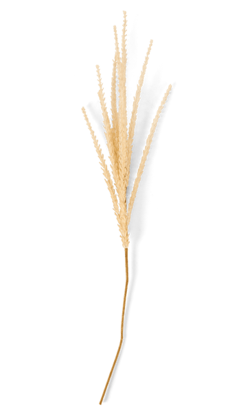 GOLDENROD STEM L88CM WHITE