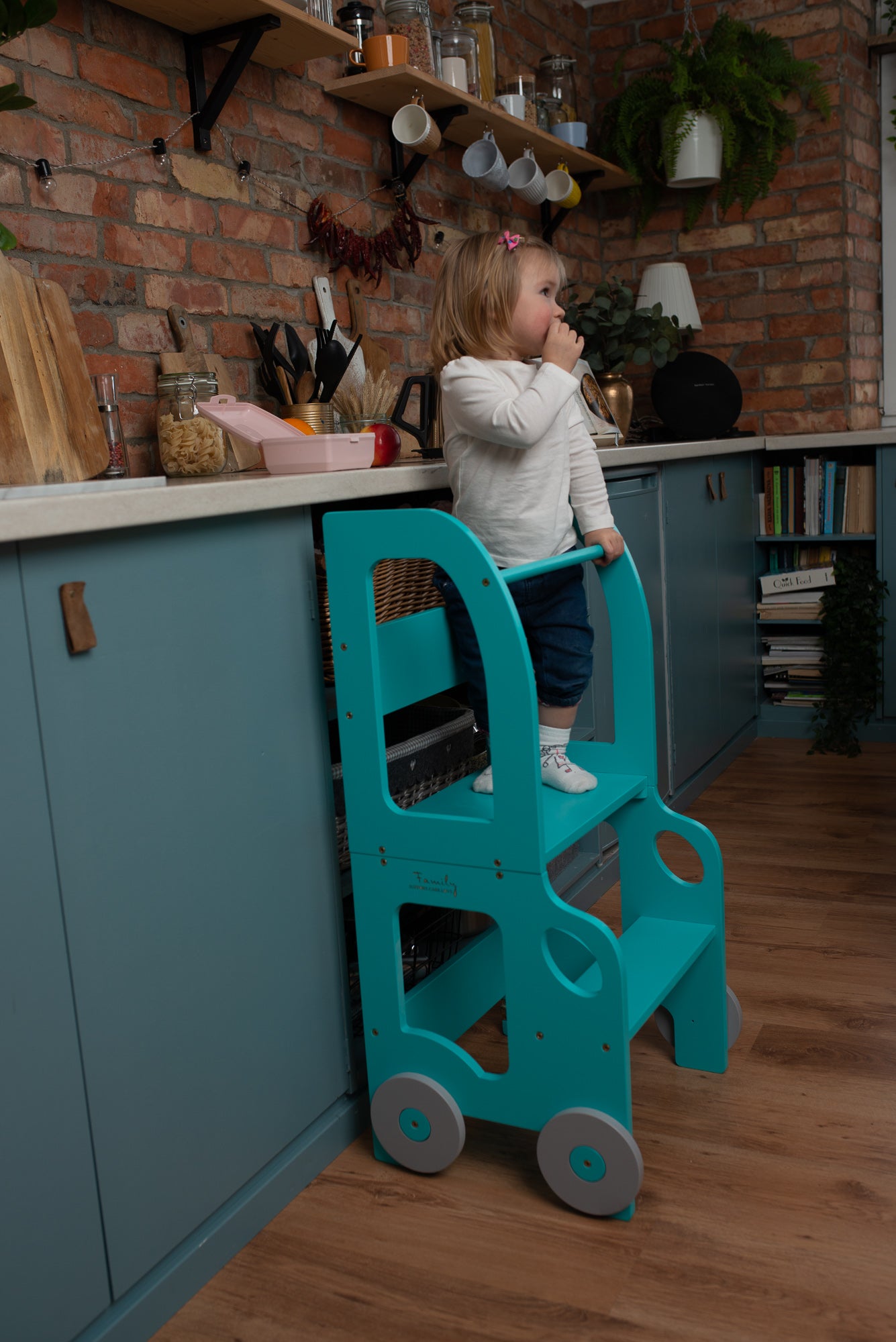 Car Step Stool