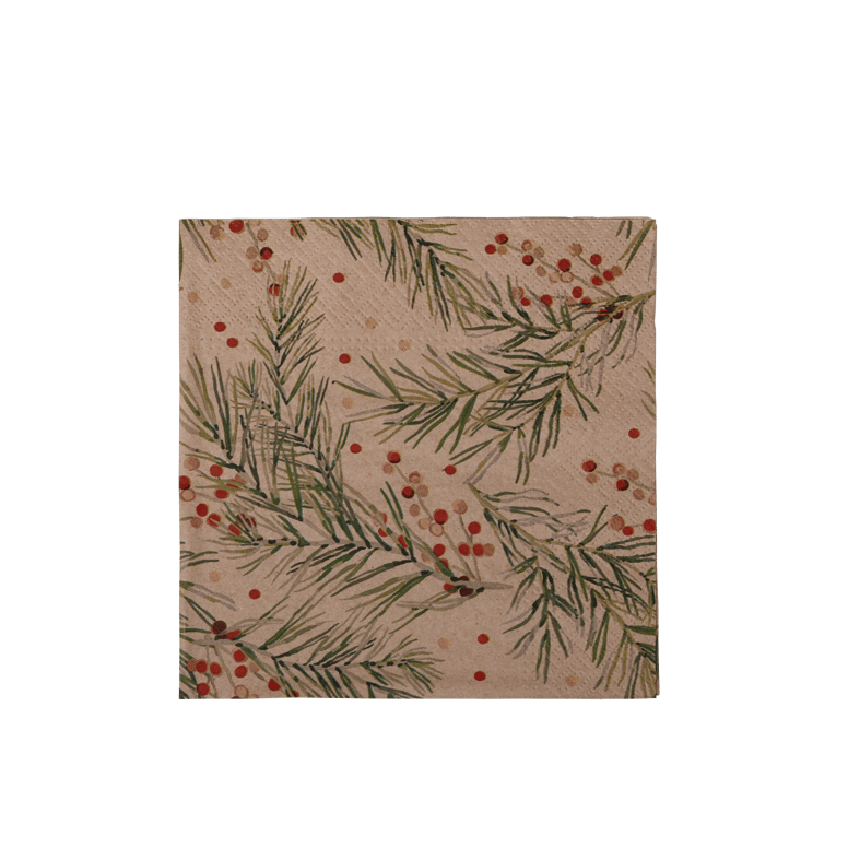 ECO HOLLY Set of 20 multicolored napkins, W 33 x L 33 cm