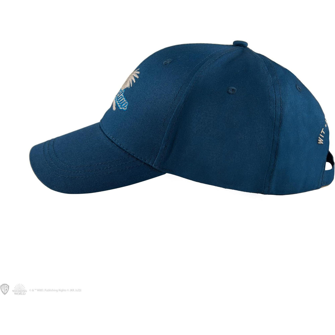 Ravenclaw hat