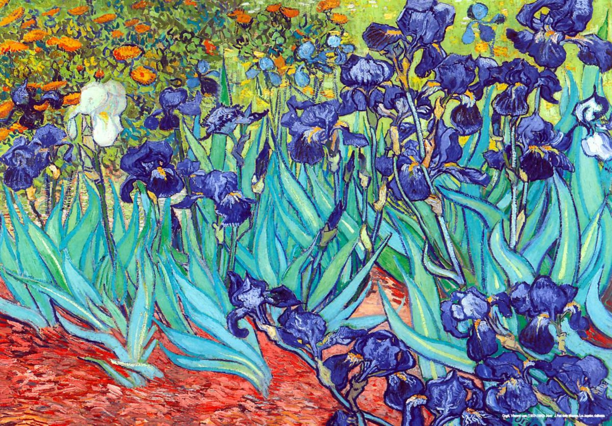 Puzzle 1000 pieces - Vincent van Gogh - Irises